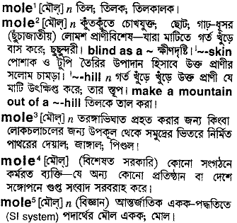 Mole in Bangla Academy Dictionary