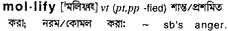 Mollify in Bangla Academy Dictionary