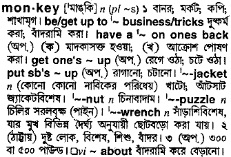 Monkey in Bangla Academy Dictionary
