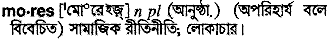 Mores in Bangla Academy Dictionary
