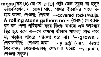 Moss in Bangla Academy Dictionary