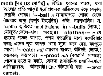 Moth in Bangla Academy Dictionary