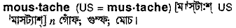 Moustache in Bangla Academy Dictionary
