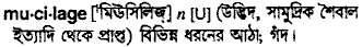 Mucilage in Bangla Academy Dictionary