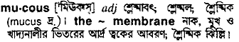 Mucous in Bangla Academy Dictionary