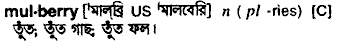 Mulberry in Bangla Academy Dictionary