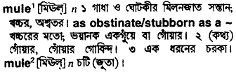 Mule in Bangla Academy Dictionary