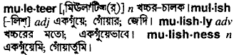 Muleteer in Bangla Academy Dictionary