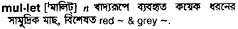 Mullet in Bangla Academy Dictionary