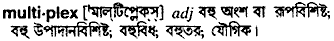 Multiplex in Bangla Academy Dictionary