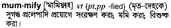 Mummify in Bangla Academy Dictionary