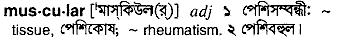 Muscular in Bangla Academy Dictionary