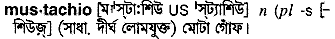 Mustachio in Bangla Academy Dictionary