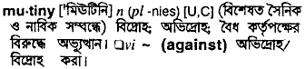 Mutiny in Bangla Academy Dictionary