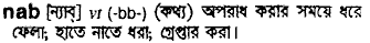 Nab in Bangla Academy Dictionary