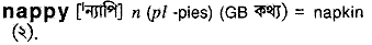 Nappy in Bangla Academy Dictionary
