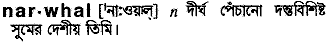 Narwhal in Bangla Academy Dictionary