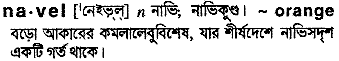 Navel in Bangla Academy Dictionary