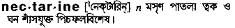 Nectarine in Bangla Academy Dictionary