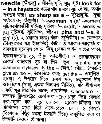 Needle in Bangla Academy Dictionary