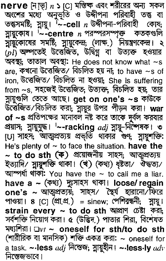 Nerve in Bangla Academy Dictionary