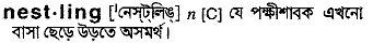 Nestling in Bangla Academy Dictionary