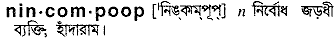 Nincompoop in Bangla Academy Dictionary