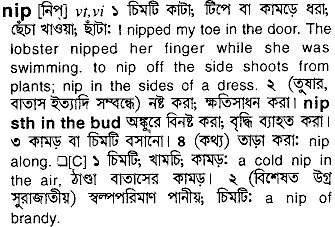 Nip in Bangla Academy Dictionary