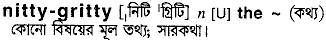 Nittygritty in Bangla Academy Dictionary
