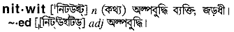 Nitwit in Bangla Academy Dictionary