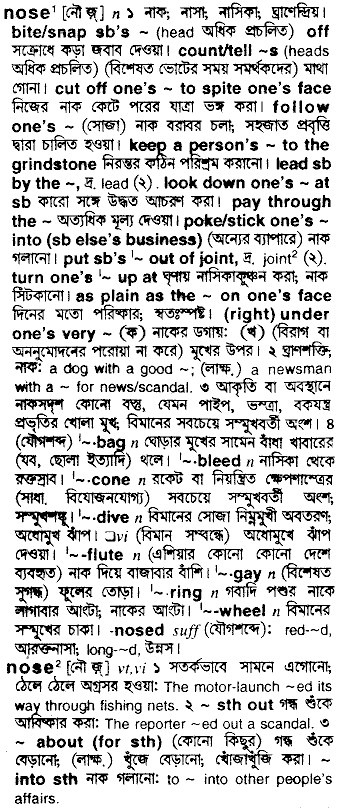 Nose in Bangla Academy Dictionary