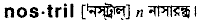 Nostril in Bangla Academy Dictionary