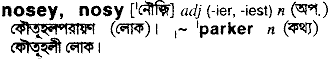 Nosy in Bangla Academy Dictionary