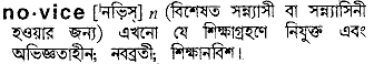 Novice in Bangla Academy Dictionary