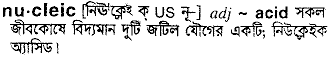 Nucleic in Bangla Academy Dictionary