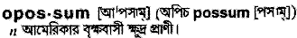 Opossum in Bangla Academy Dictionary