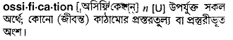 Ossification in Bangla Academy Dictionary