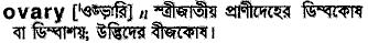Ovary in Bangla Academy Dictionary