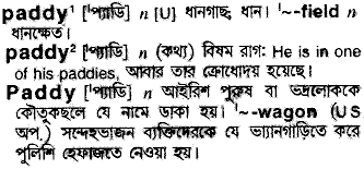 Paddy in Bangla Academy Dictionary