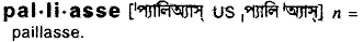Palliasse in Bangla Academy Dictionary