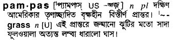 Pampas in Bangla Academy Dictionary