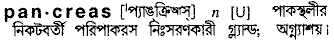 Pancreas in Bangla Academy Dictionary