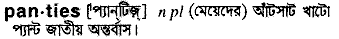 Panties in Bangla Academy Dictionary