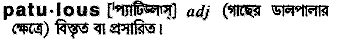 Patulous in Bangla Academy Dictionary