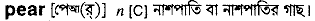 Pear in Bangla Academy Dictionary
