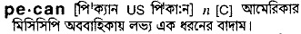 Pecan in Bangla Academy Dictionary