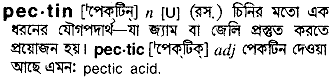 Pectin in Bangla Academy Dictionary