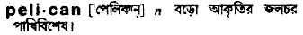 Pelican in Bangla Academy Dictionary
