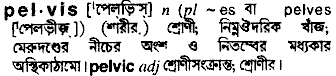 Pelvis in Bangla Academy Dictionary