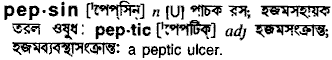 Pepsin in Bangla Academy Dictionary